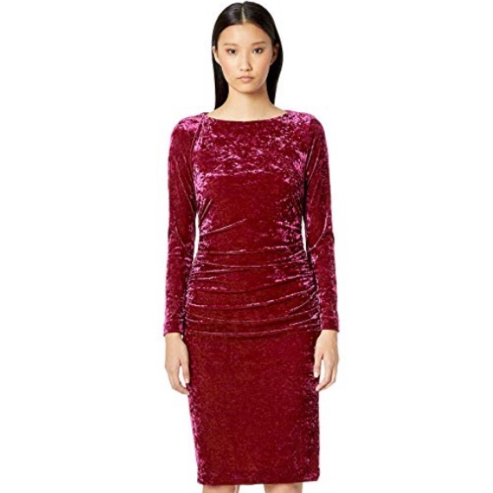 NWT! Velvet Nicole Miller dress